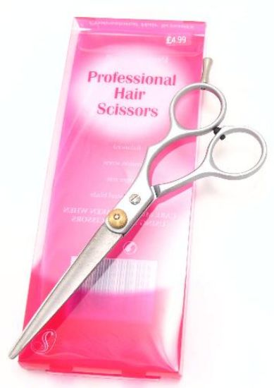 Picture of Serenade - Hairdressing Scissors
