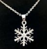 Picture of Diamante Studded Snow Flake Necklace