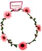 Picture of Shimmers - Flower Wire Crown