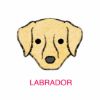 Picture of E&A - Labrador Facecloth