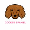 Picture of E&A - Cocker Spaniel Facecloth