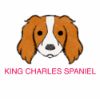 Picture of E&A - King Charles Spaniel Facecloth