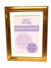 Picture of Photo Frame - Gold - 15.5x20.5cm